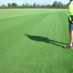 Village Green is weeding out the opposition