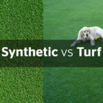 Turf versus Synthetic