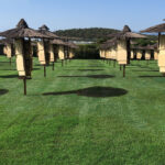 A 4,000-square-meter lawn in Orosei (Sardegna) without phytosanitary products and chemicals