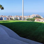 Village Green® lawn: when seed purity makes a difference