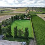 The champions’ turfgrass