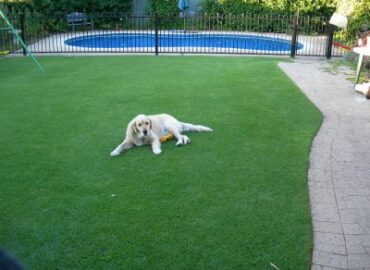dec-2006-400x300
