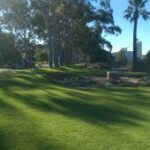 Planting Village Green in Winter will have you ready for summer